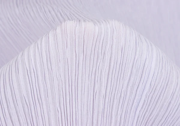 ISSEY MIYAKE FETE Crape Pleats Jacket K-166412_012