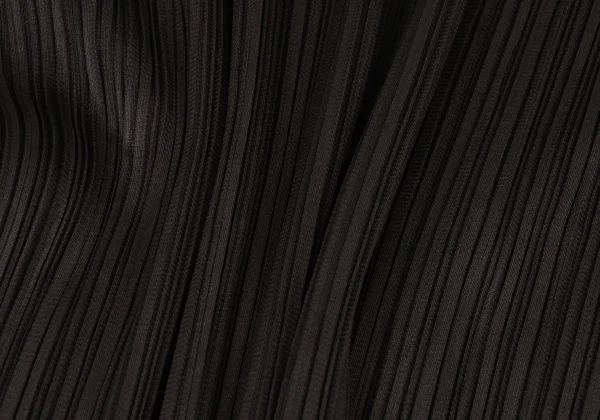 PLEATS PLEASE Turtle Neck Long Sleeves T Shirt K-166499_012