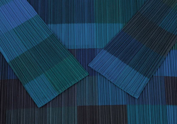 PLEATS PLEASE Printed Turtle Neck Long Sleeves T Shirt K-166500_009