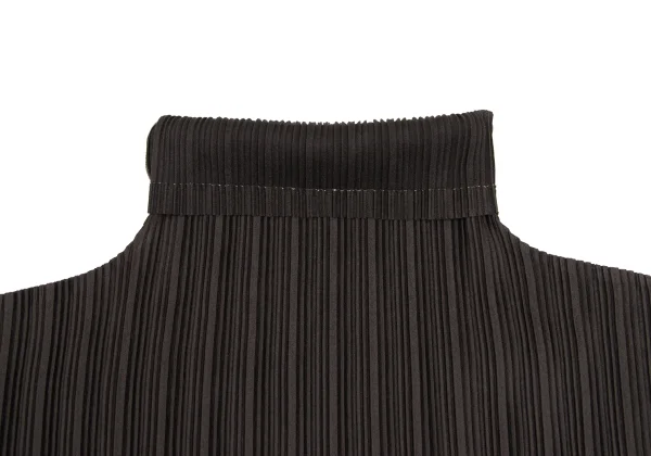 PLEATS PLEASE Pleats Turtleneck Top K-166564_006