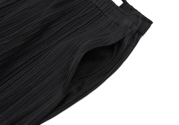 PLEATS PLEASE Pleated Wide Pants K-166626_004