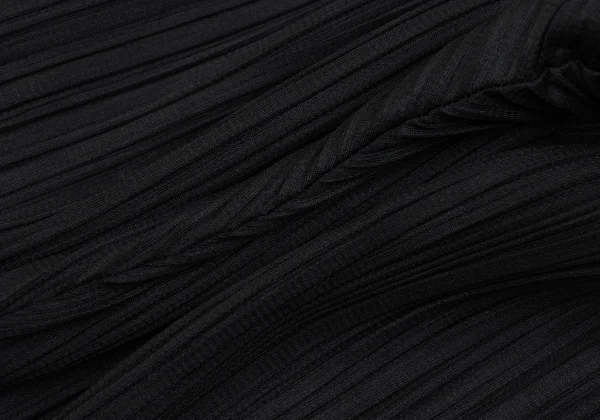 PLEATS PLEASE Pleated Wide Pants K-166626_008