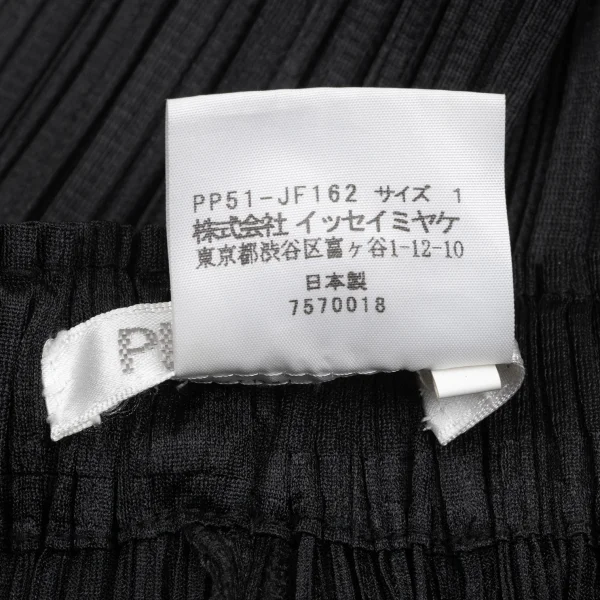 PLEATS PLEASE Pleated Wide Pants K-166626_009