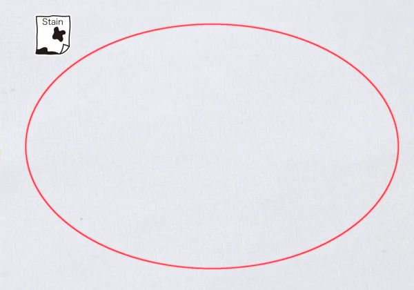 Papas+ Bicycle Print T-shirt K-166691_003