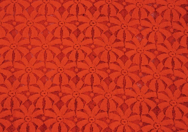 COMME des GARCONS Floral Lace Round Collar Shirt Jacket K-166707_013