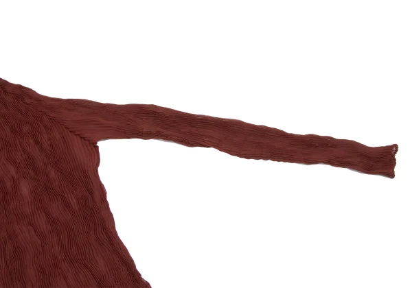 ISSEY MIYAKE Pleats Turtle Neck See-through Top K-166786_005