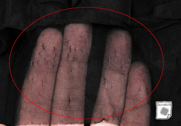 COMME des GARCONS Dyed Multi Layered See-through Nylon Jacket K-166890_011