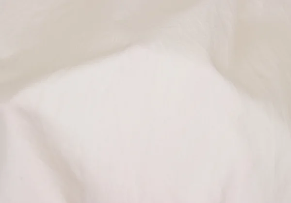 UNDERCOVER LEAF-Era Big-collar Long Sleeve Shirt K-166974_019