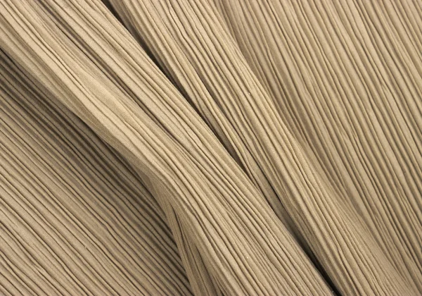 ISSEY MIYAKE Crepe Pleated 3B Jacket K-167005_013