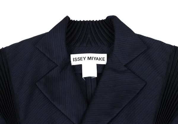 ISSEY MIYAKE 3D Steam Pleated Switching Stripe Jacket K-167018_004