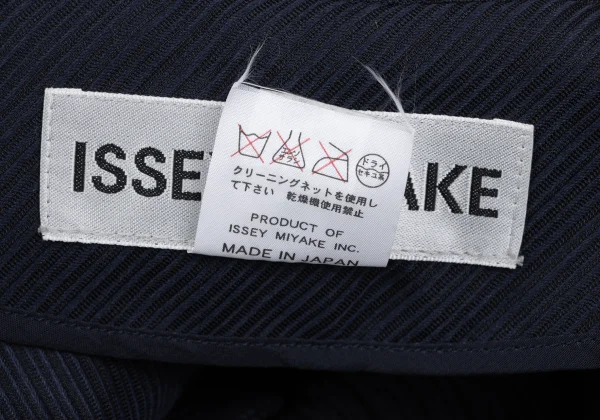 ISSEY MIYAKE 3D Steam Pleated Switching Stripe Jacket K-167018_015