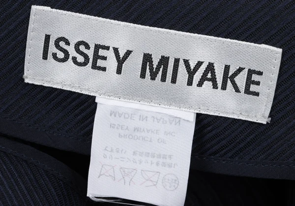 ISSEY MIYAKE 3D Steam Pleated Switching Stripe Jacket K-167018_016