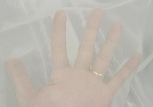 COMME des GARCONS Poly Frill See-through Blouse K-167241_014