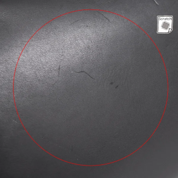 Sybilla Logo Embossed Leather Bag K-167266_007