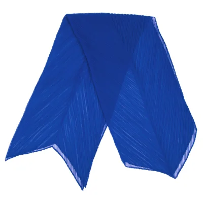 Unbranded Pleats Stole