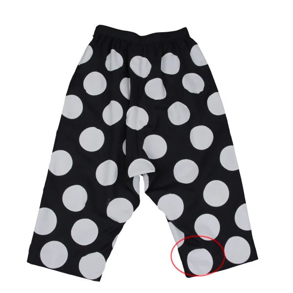 JUNYA WATANABE COMME des GARCONS Dot Patch Design Cropped Pants K-167363_007