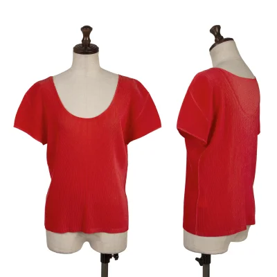 PLEATS PLEASE Mist T-shirt