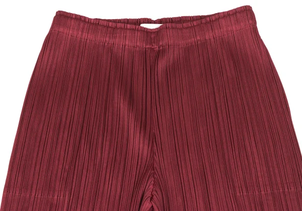 PLEATS PLEASE Wide Pants K-167485_003