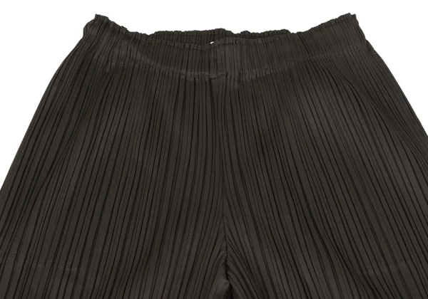 PLEATS PLEASE Wide Pants K-167486_003