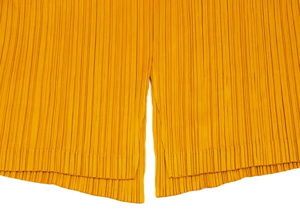 PLEATS PLEASE Pleats Long Jacket K-167530_013