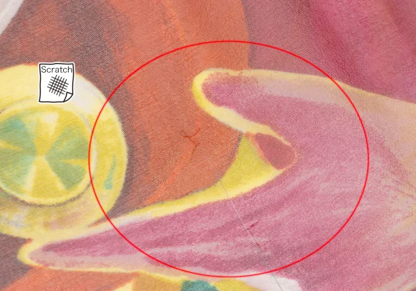 ジャンポールゴルチエJean Paul GAULTIER グラフィックプリント