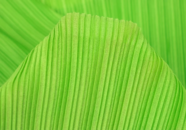 PLEATS PLEASE Raglan Short Sleeve Top K-167877_009