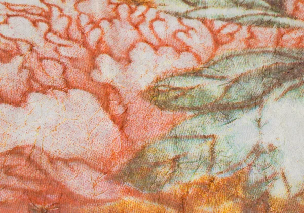 VIVIENNETAM Floral Printed Mesh Sleeveless Dress K-168086_007