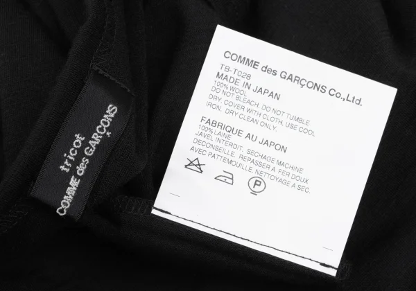 tricot COMME des GARCONS Wool Top K-168129_010