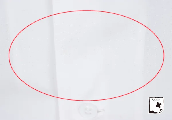 Yohji Yamamoto POUR HOMME Taisho Romantic Embroidery Open Collar Shirt K-168145_003