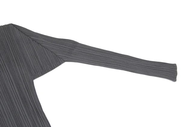 PLEATS PLEASE Pleated Turtleneck Dress K-168193_006