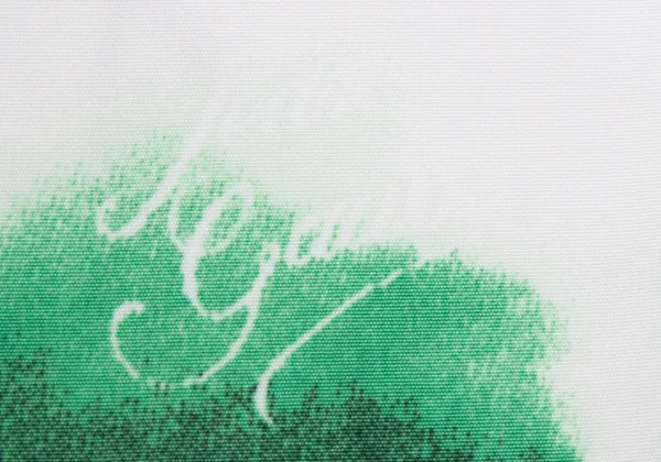 Jean Paul GAULTIER Plant Print Scarf K-168424_010