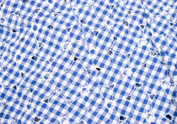 JUNYA WATANABE COMME des GARCONS Checked Floral Embroidery Blouse K-168562_011