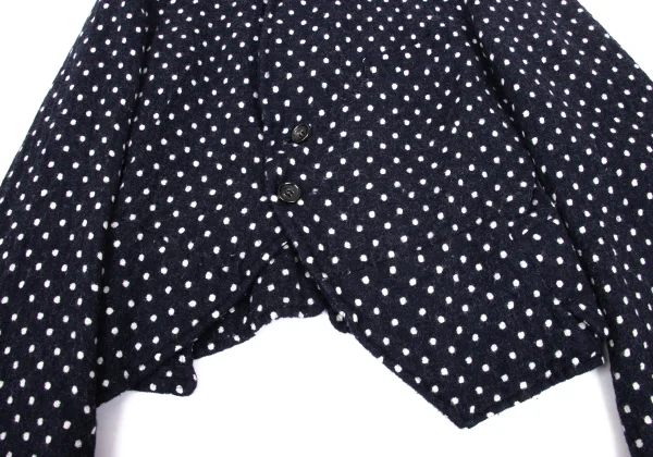 COMME des GARCONS Wool Fulling Dot Jacket K-168594_010
