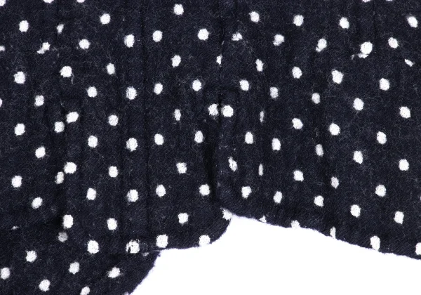 COMME des GARCONS Wool Fulling Dot Jacket K-168594_014