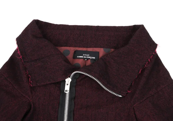 tricot COMME des GARCONS Wool Fulling Dot Lining Cutting Jacket K-168624_004