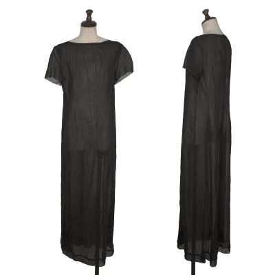 Y's Wrinkle Poly See-through Dress