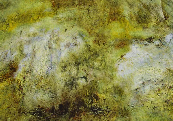 Y's Wool Transfer Graphic Print Wide Silhouette Short Sleeve Shirt K-168736_012