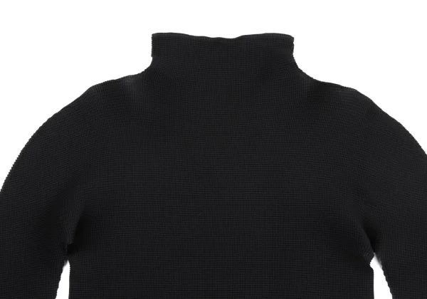 ISSEY MIYAKE me Stretch Pleated Turtleneck T Shirt K-168809_003