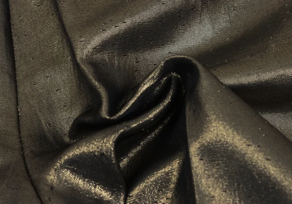 COMME des GARCONS NOIR Metallic Two Tuck Shorts K-168902_014