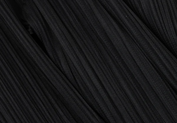 ISSEY MIYAKE Pleated Pants K-168909_007