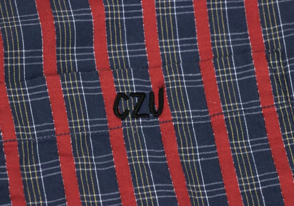 CABANE de zucca Checked Stripe Long-sleeved Shirt K-168983_008