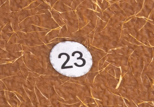 REGAL Wing Tip shoes K-169176_013