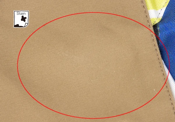 TSUMORI CHISATO Lining Graphic Printed Double Jacket K-169258_013