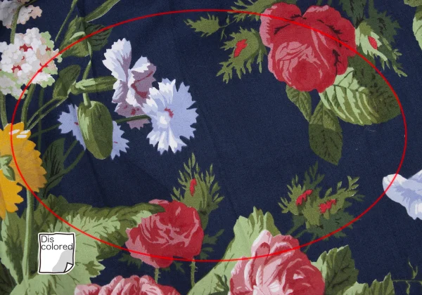 RALPH RALPH LAUREN Floral Printed Skirt K-169265_004