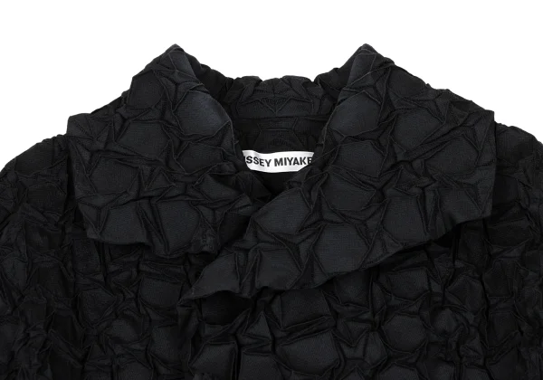 ISSEY MIYAKE 3D Steam Stretch Pleats Jacket K-169389_004