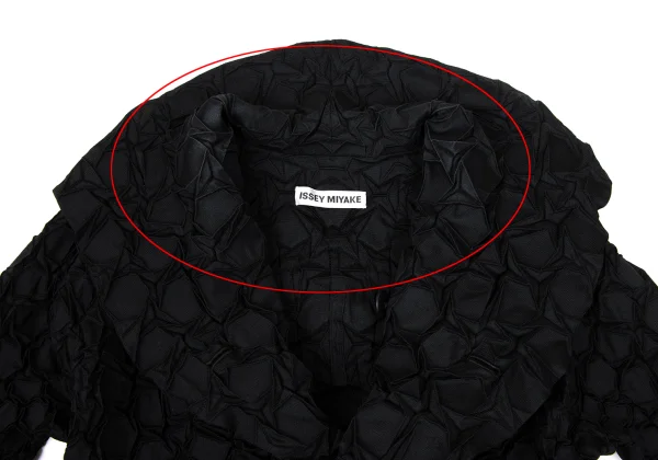 ISSEY MIYAKE 3D Steam Stretch Pleats Jacket K-169389_007