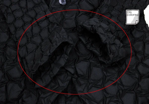 ISSEY MIYAKE 3D Steam Stretch Pleats Jacket K-169389_011