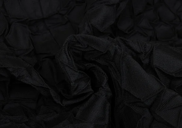 ISSEY MIYAKE 3D Steam Stretch Pleats Jacket K-169389_017