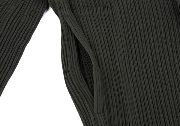 ISSEY MIYAKE Crepe Pleated Tailored Jacket K-169390_010