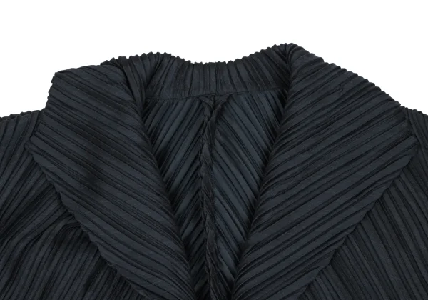 ISSEY MIYAKE Fade Pleats Wide Collar Blouse K-169403_004